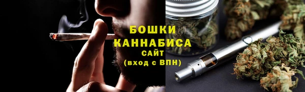 прущие грибы Алексин