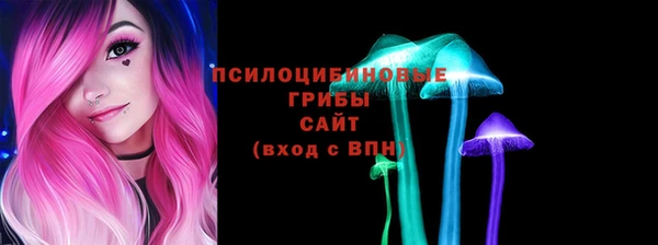 прущие грибы Алексин