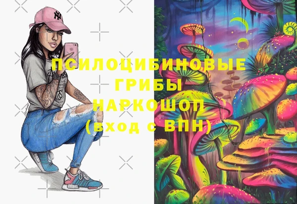 прущие грибы Алексин