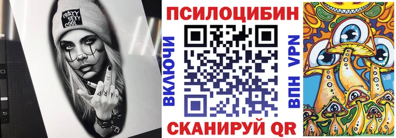 Галлюциногенные грибы ЛСД  наркота  Новокубанск 