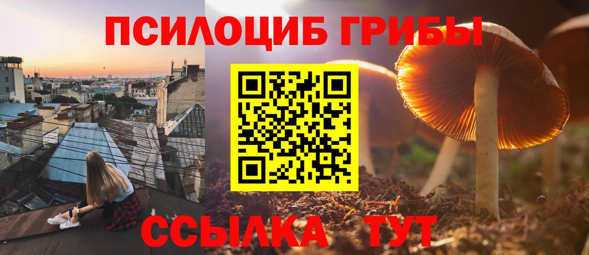 Галлюциногенные грибы GOLDEN TEACHER Новокубанск